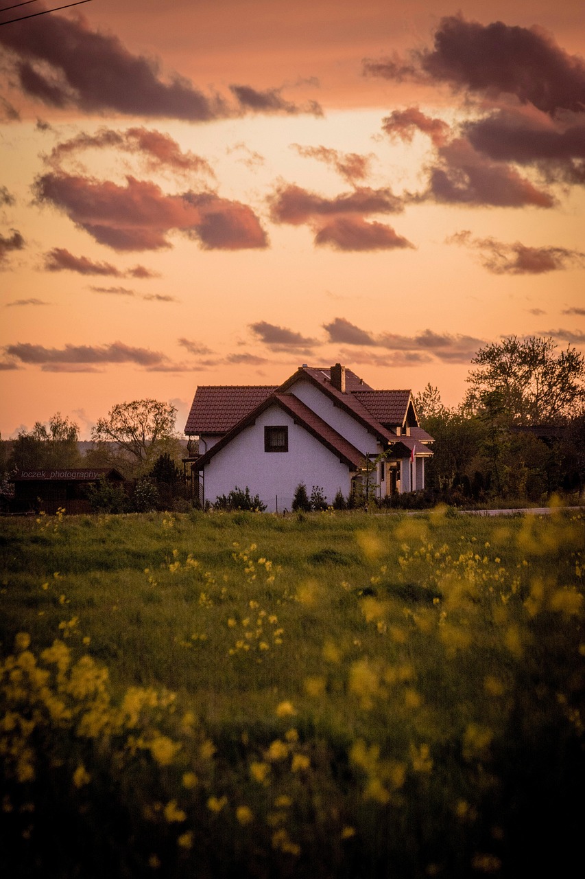 house, meadow, grass, flowers, beautiful flowers, home, building, spring, field, flower background, nature, sky, flower wallpaper, clouds